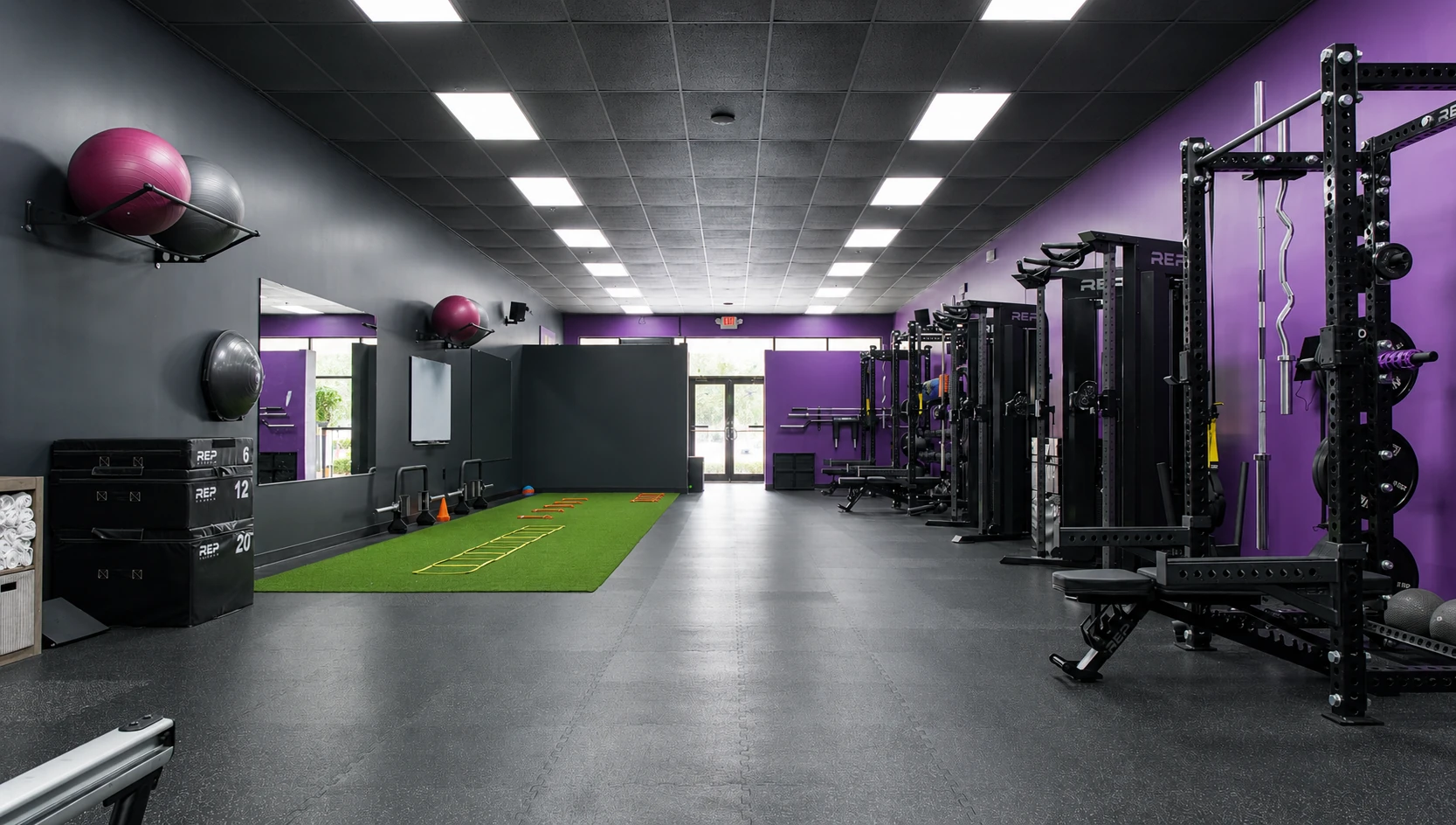 Barbells and Dumbbells